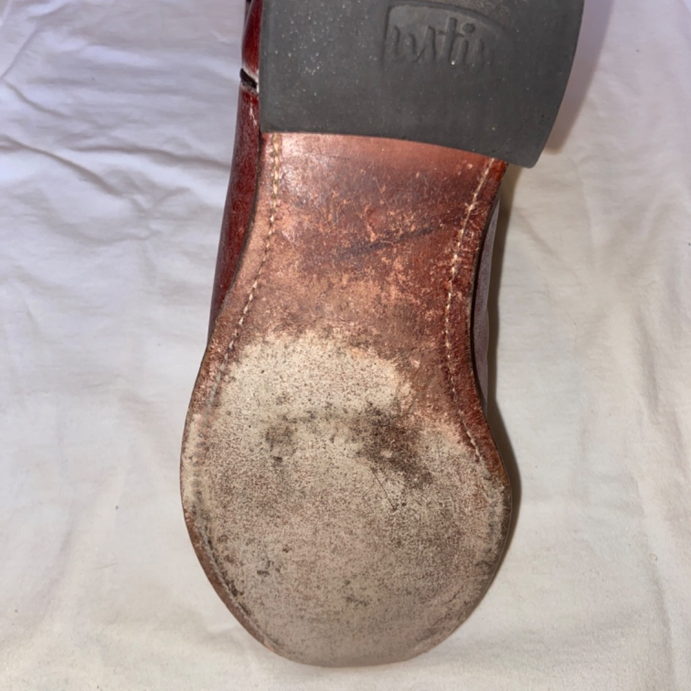 Justin Ropers Chestnut - Picture 4 of 4